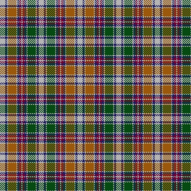 Tartan image: Wombles #4. Click on this image to see a more detailed version.