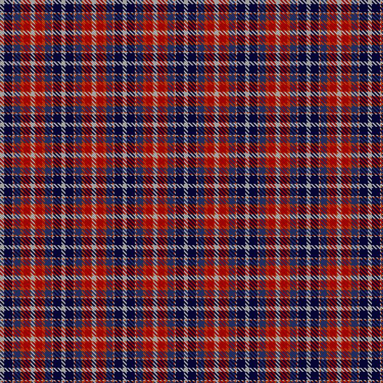 Tartan image: Wombles #5. Click on this image to see a more detailed version.