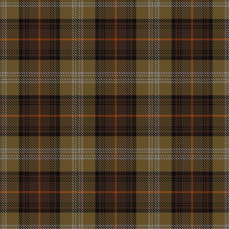 Tartan image: Dorcas. Click on this image to see a more detailed version.