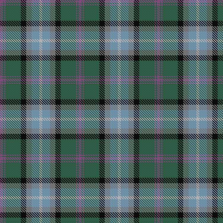 Tartan image: Alexander of Menstry Hunting. Click on this image to see a more detailed version.