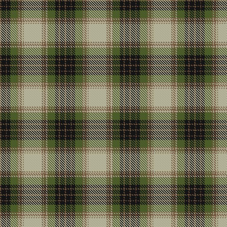 Tartan image: Ben Ledi. Click on this image to see a more detailed version.