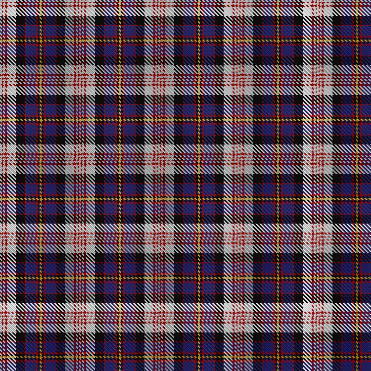 Tartan image: Cameron of Erracht Dress. Click on this image to see a more detailed version.