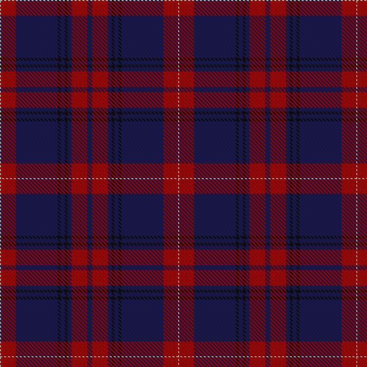 Tartan image: Falkirk Football Club. Click on this image to see a more detailed version.