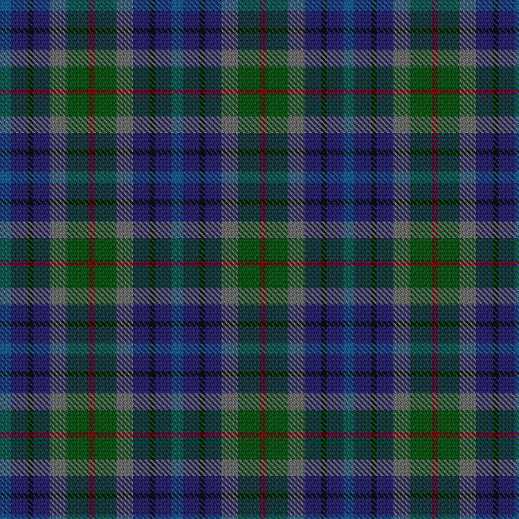 Tartan image: New York City. Click on this image to see a more detailed version.