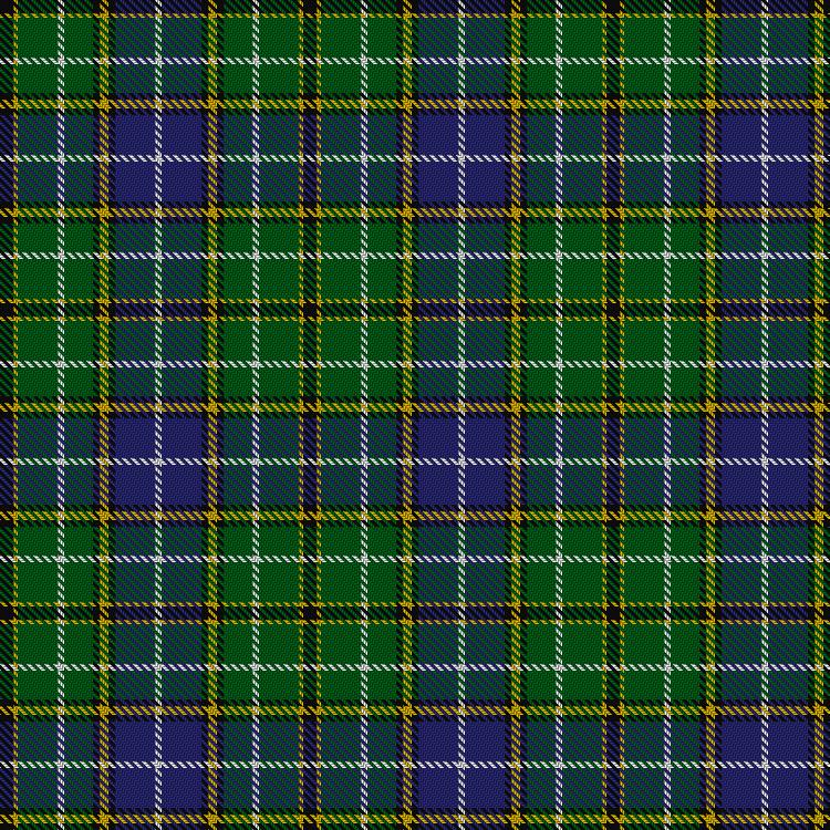Tartan image: Corstorphine Trial A. Click on this image to see a more detailed version.