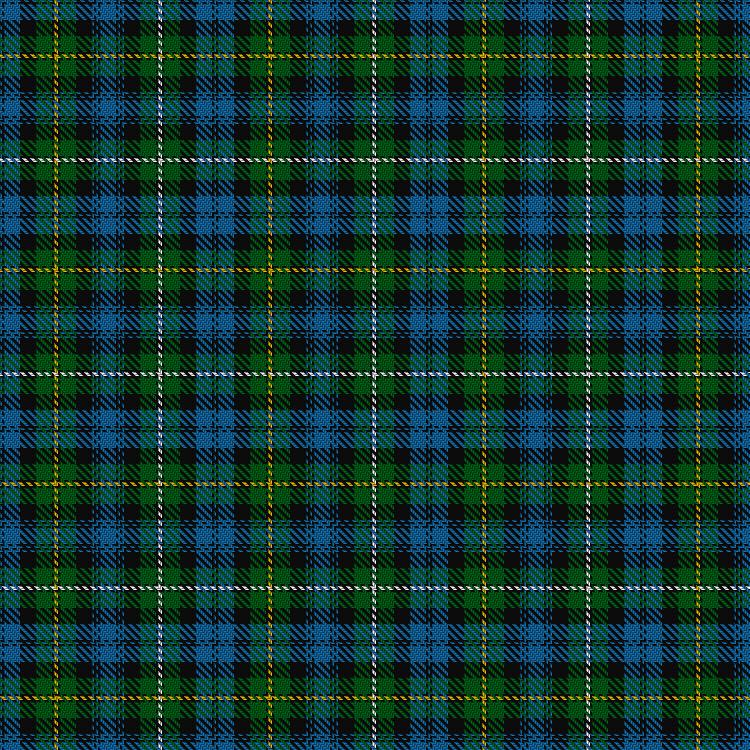 Tartan image: Campbell of Argyll #2. Click on this image to see a more detailed version.