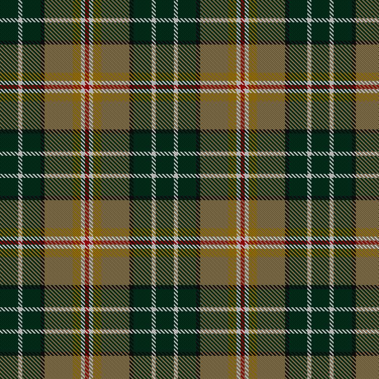 Tartan image: MacShane. Click on this image to see a more detailed version.
