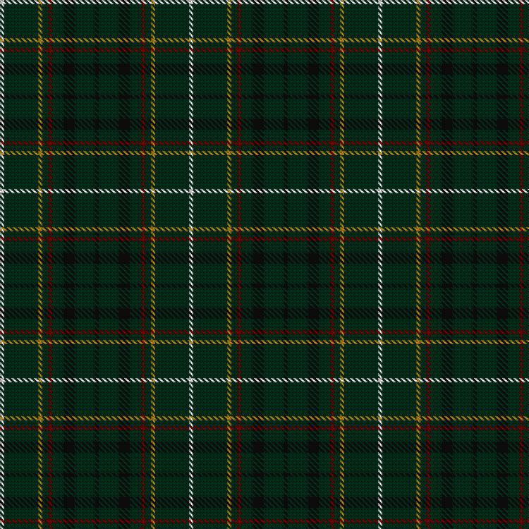 Tartan image: MacStumer Hunting. Click on this image to see a more detailed version.