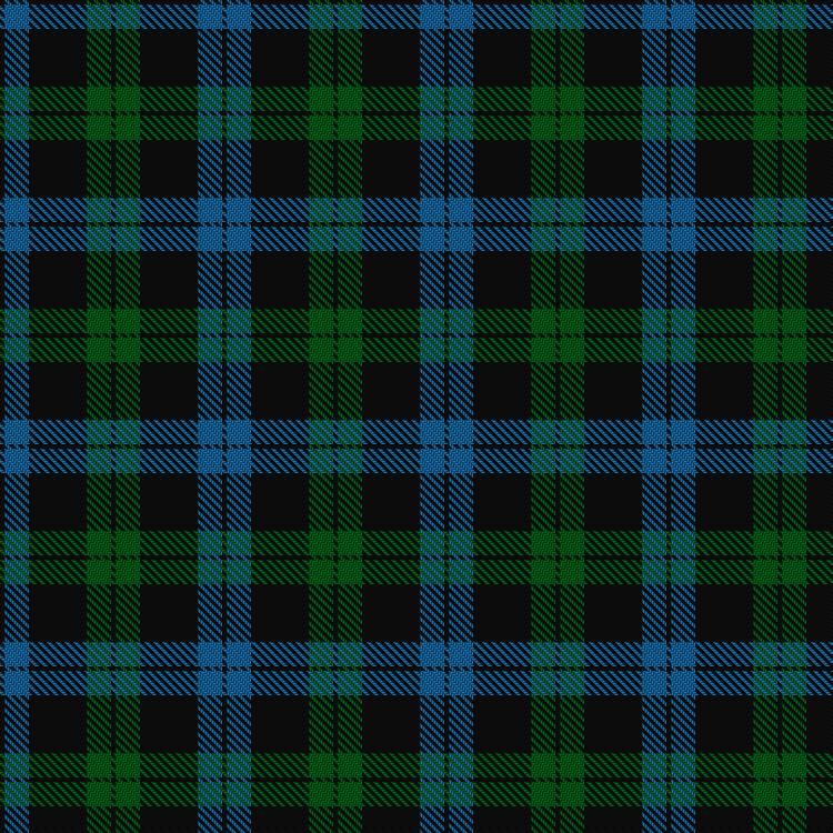 Tartan image: Campbell of Loch Awe. Click on this image to see a more detailed version.