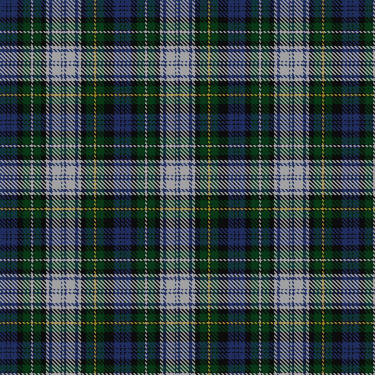Tartan image: Campbell of Lochnell Dress. Click on this image to see a more detailed version.