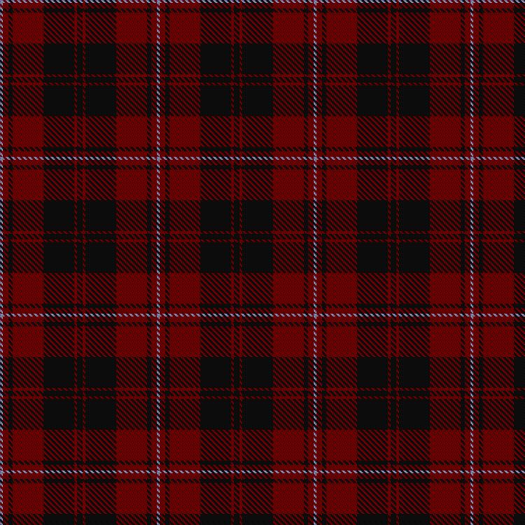 Tartan image: Menzies of Culdares. Click on this image to see a more detailed version.