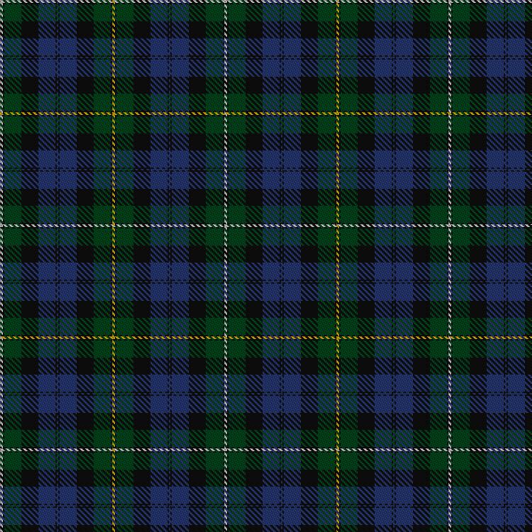 Tartan image: Campbell of Loudoun. Click on this image to see a more detailed version.