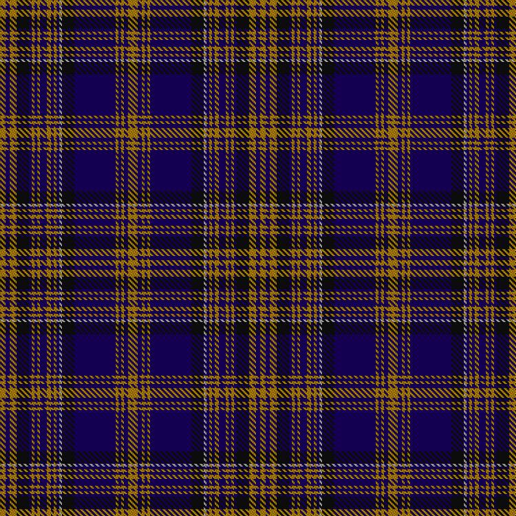 Tartan image: Blue Matheson Hunting (Kinloch Anderson). Click on this image to see a more detailed version.