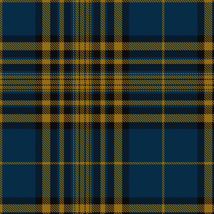 Tartan image: Agincourt. Click on this image to see a more detailed version.