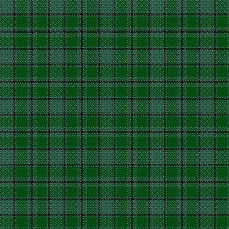 Tartan image: Campbell-Simpson. Click on this image to see a more detailed version.