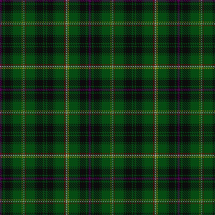 Tartan image: Campbell, Marquis of Lorne. Click on this image to see a more detailed version.