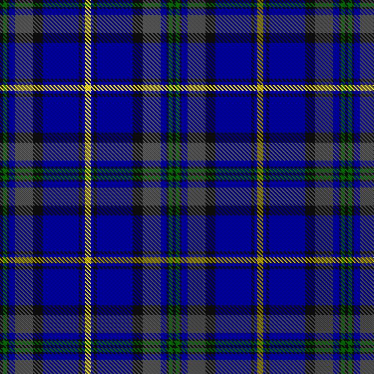 Tartan image: Dinwiddie Hunting. Click on this image to see a more detailed version.