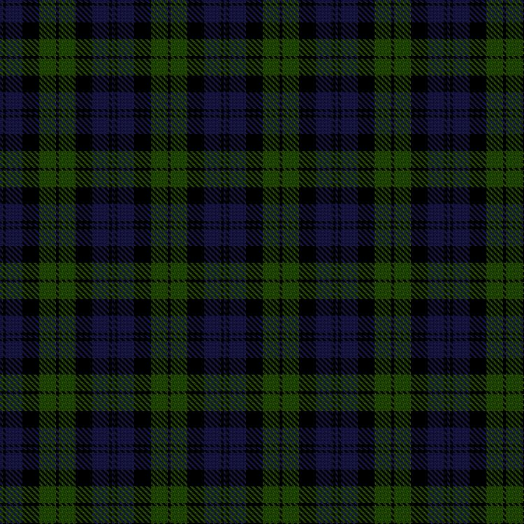 Tartan image: Black Watch (smallest sett). Click on this image to see a more detailed version.