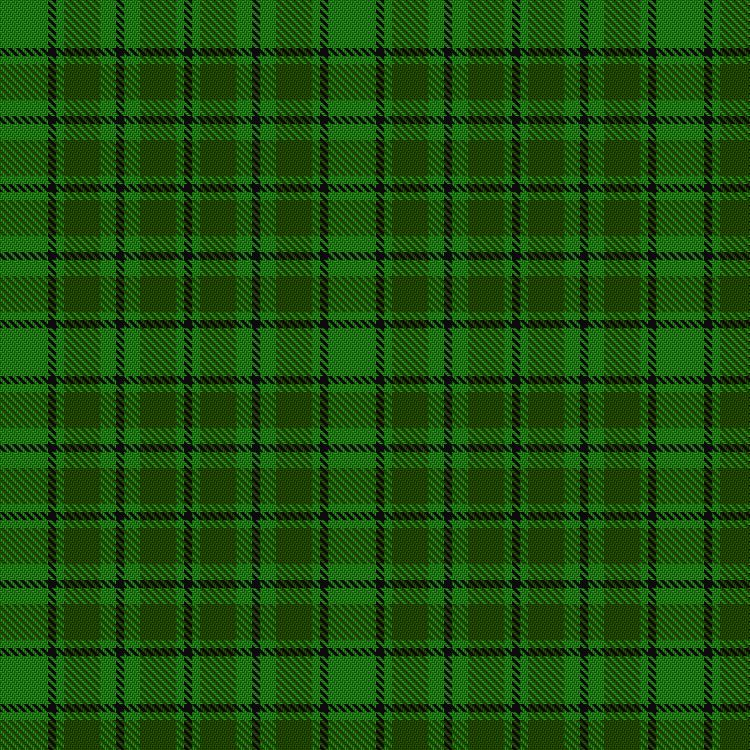 Tartan image: Campbell-Simpson (Personal). Click on this image to see a more detailed version.