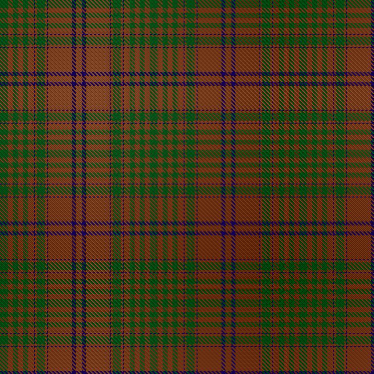 Tartan image: MacGillivray Hunting. Click on this image to see a more detailed version.