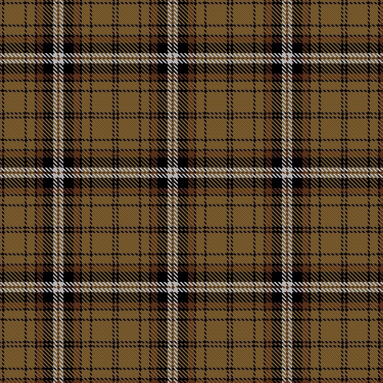 Tartan image: Braemar, Camel. Click on this image to see a more detailed version.
