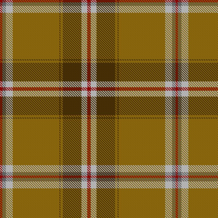 Tartan image: Bell's Whisky. Click on this image to see a more detailed version.