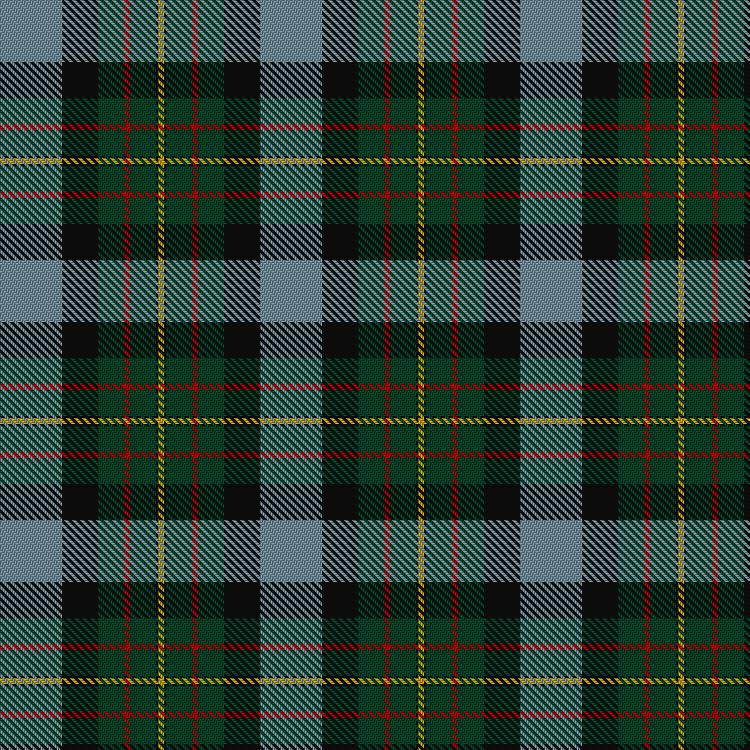 Tartan image: Big Sur MacLaren (Personal). Click on this image to see a more detailed version.