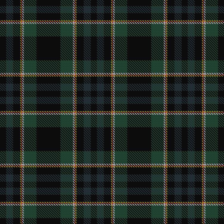 Tartan image: MacNeill, Royce (Personal). Click on this image to see a more detailed version.