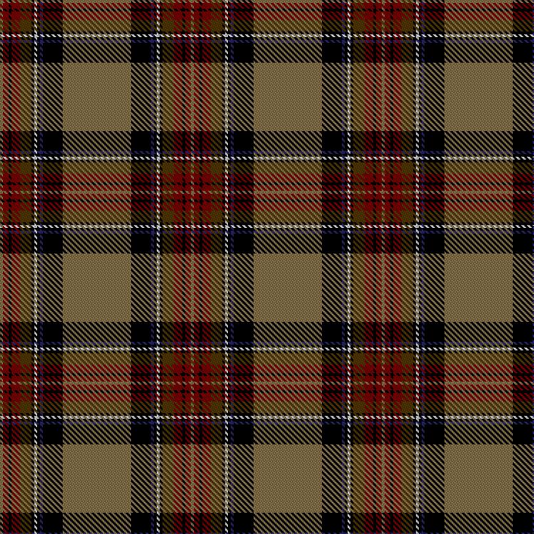 Tartan image: U.S. Customs & Border Protection . Click on this image to see a more detailed version.