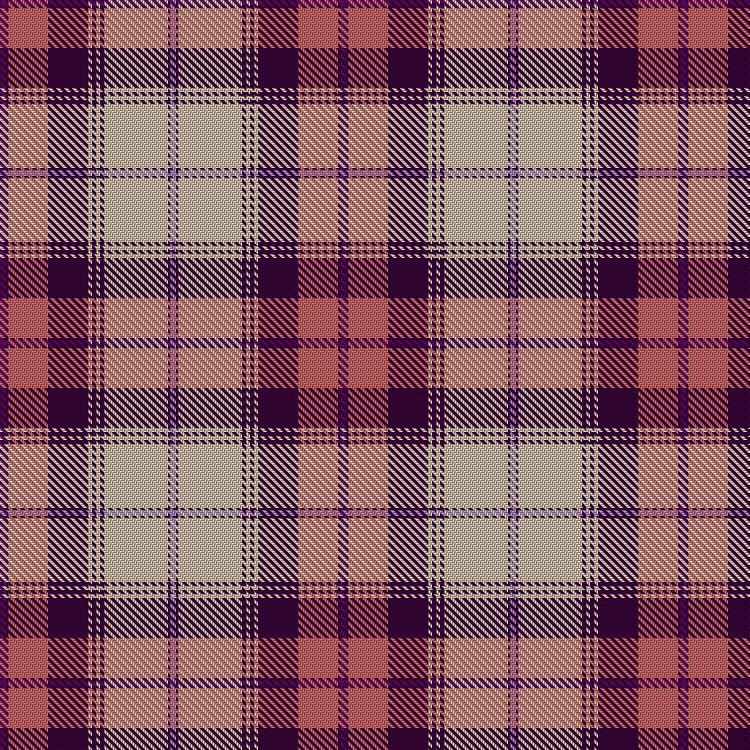 Tartan image: Sunart Pink. Click on this image to see a more detailed version.