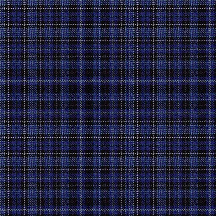 Tartan image: Clergy "Two Spirit" (Personal). Click on this image to see a more detailed version.