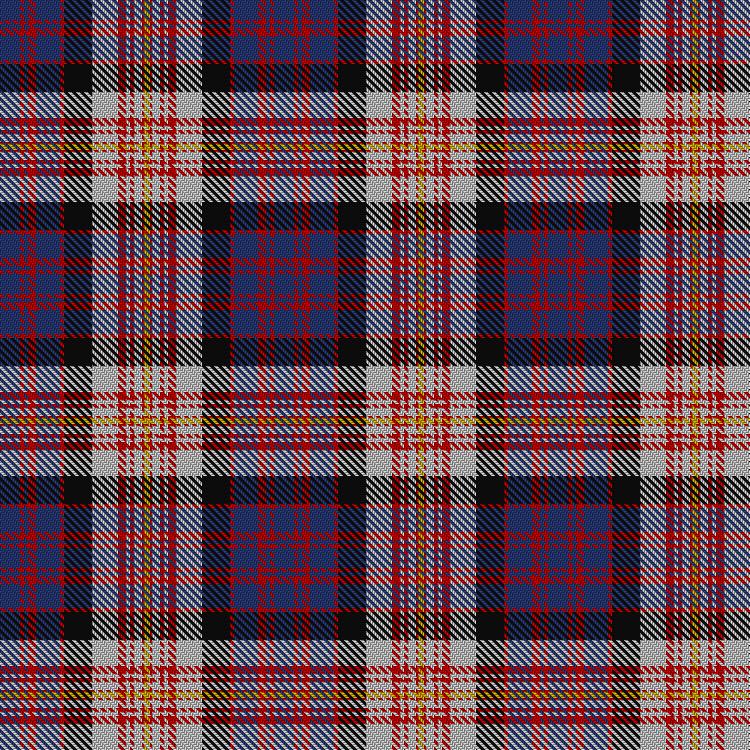 Tartan image: Carnegie #2. Click on this image to see a more detailed version.