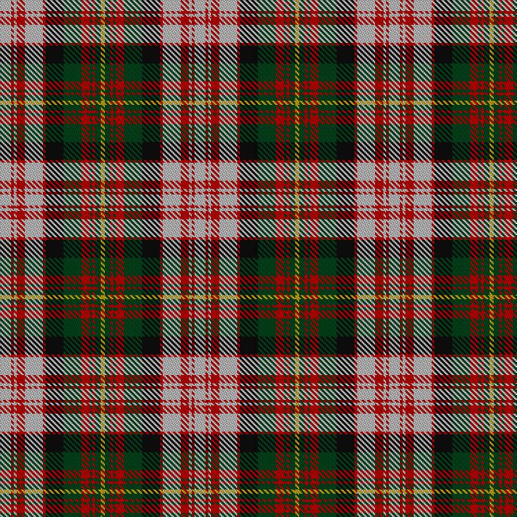 Tartan image: Carnegie Dress. Click on this image to see a more detailed version.