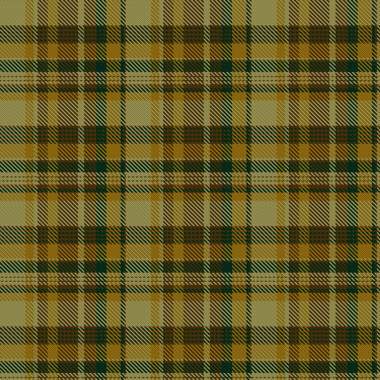 Tartan image: Alberta (CIDD 28106). Click on this image to see a more detailed version.
