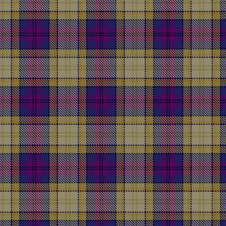 Tartan image: Merise and Lars (Personal). Click on this image to see a more detailed version.