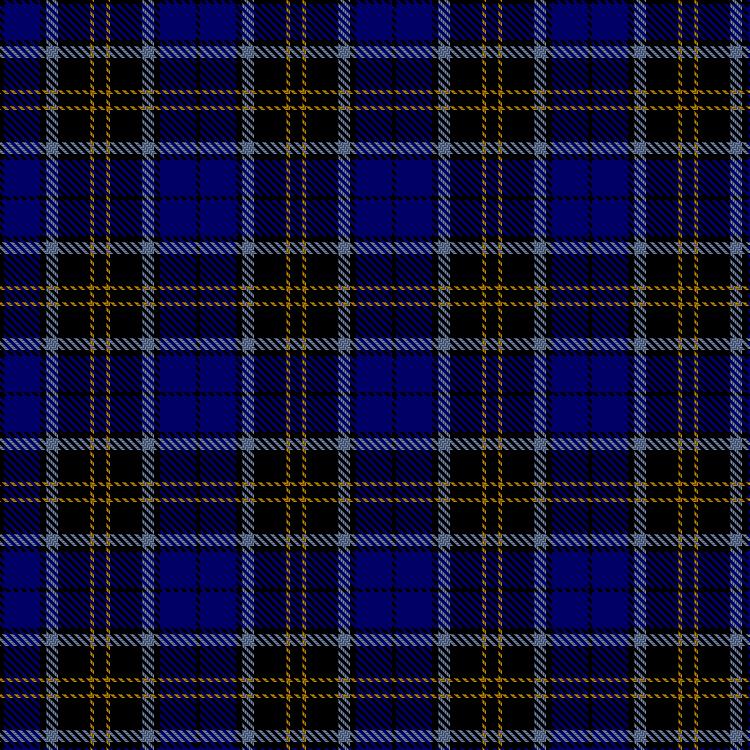 Tartan image: Carrick High School. Click on this image to see a more detailed version.