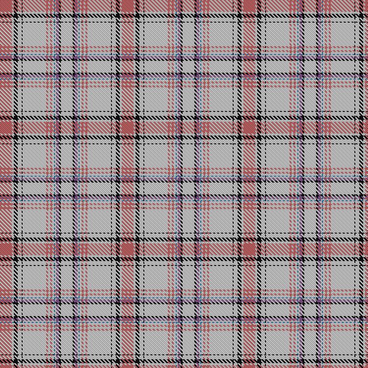 Tartan image: Ivanka Trump (Personal). Click on this image to see a more detailed version.