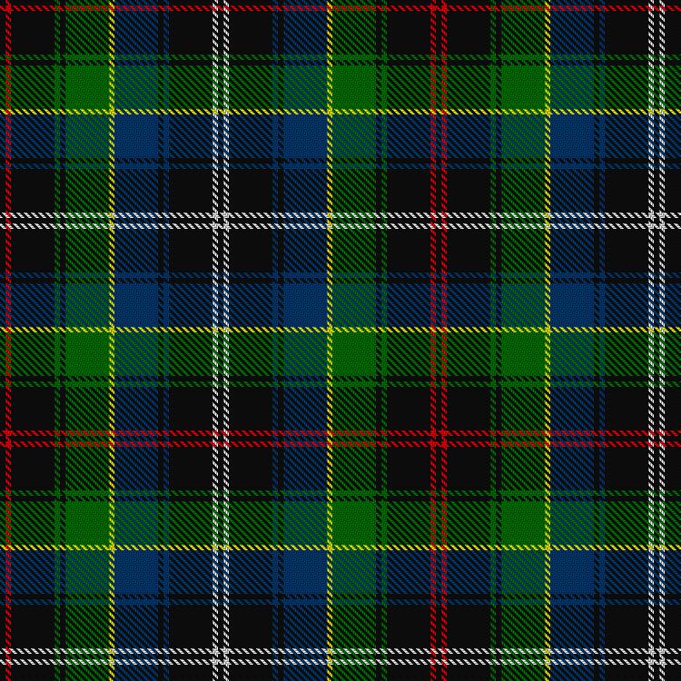 Tartan image: Survivor. Click on this image to see a more detailed version.
