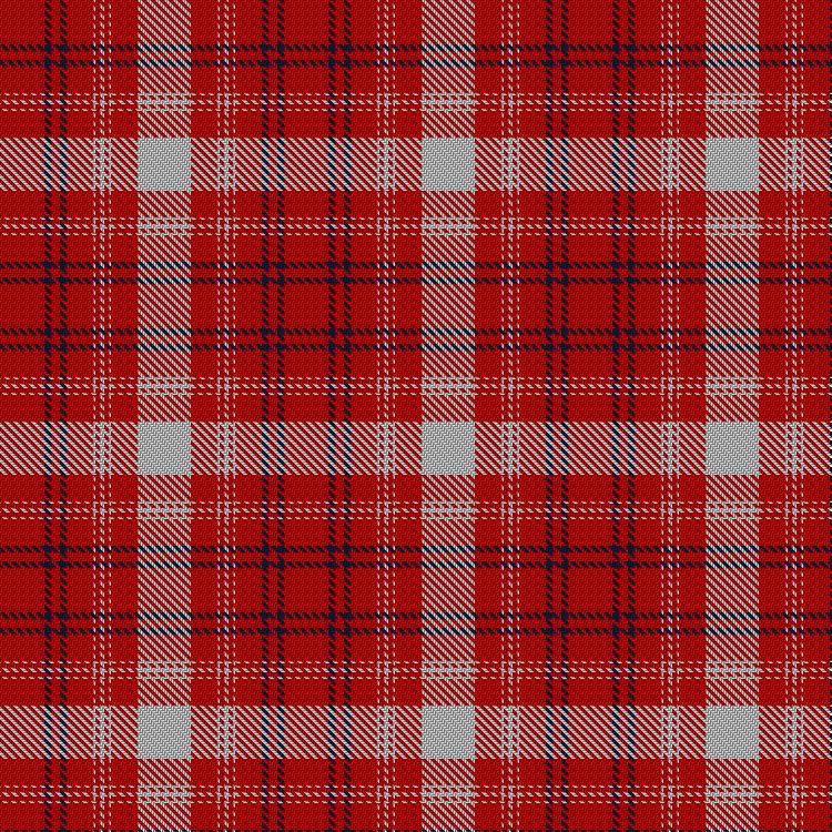 Tartan image: Swiss Red #2. Click on this image to see a more detailed version.