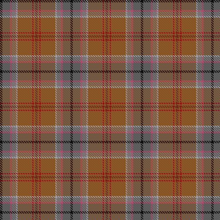 Tartan image: Australian Donkey. Click on this image to see a more detailed version.