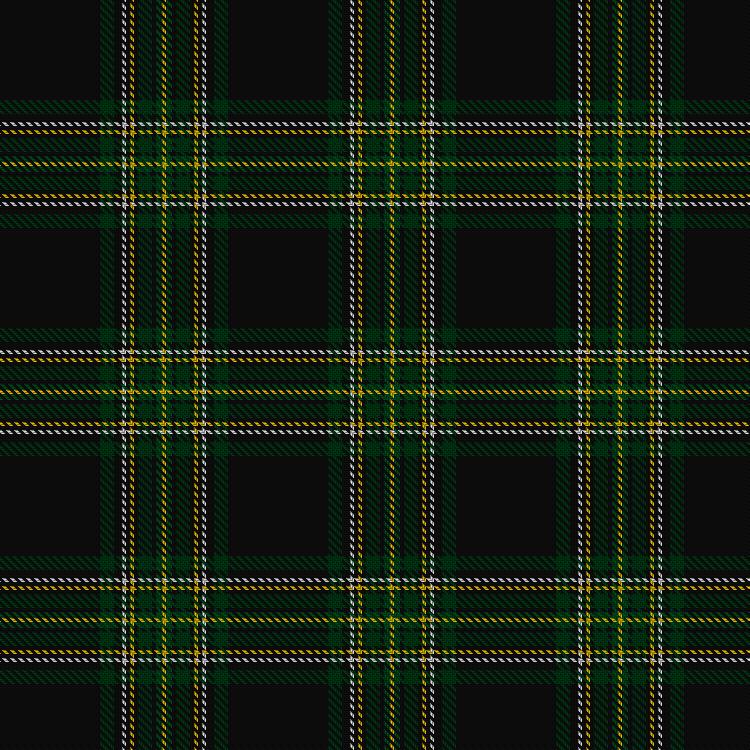 Tartan image: Initial City Link #2. Click on this image to see a more detailed version.