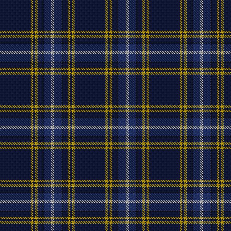 Tartan image: Indiana #2. Click on this image to see a more detailed version.