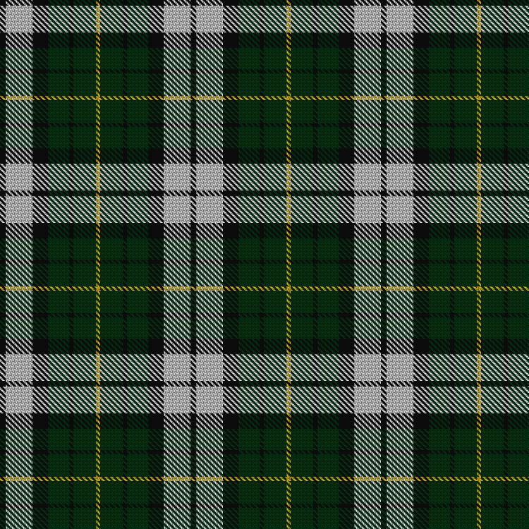 Tartan image: Lawson, William 2002. Click on this image to see a more detailed version.