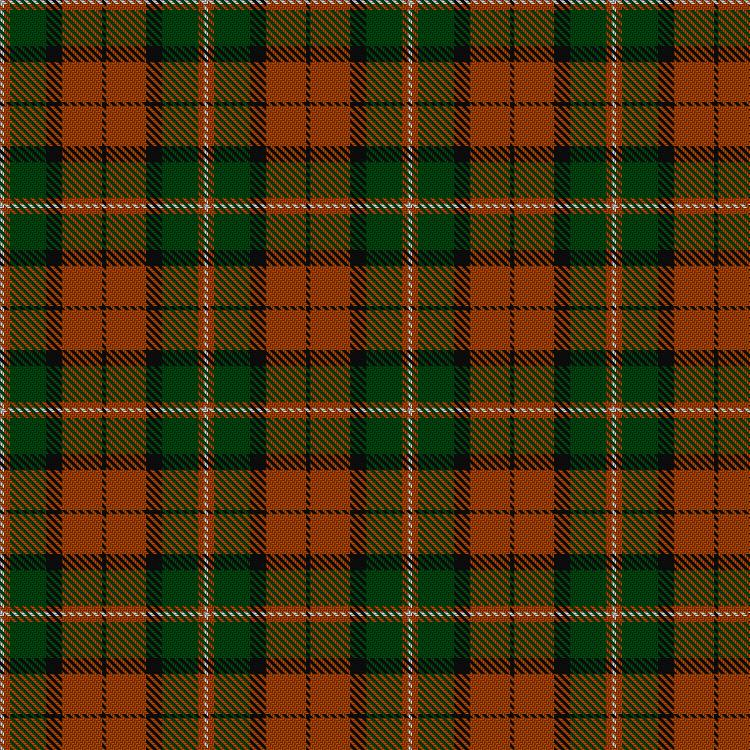 Tartan image: Celtic Combat. Click on this image to see a more detailed version.