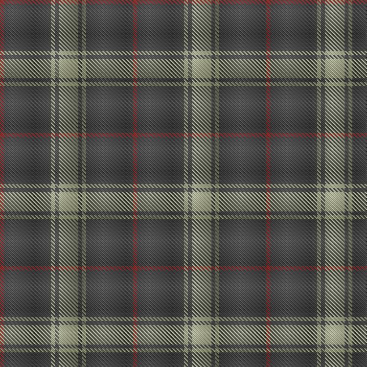 Tartan image: Ceredigion (Personal). Click on this image to see a more detailed version.