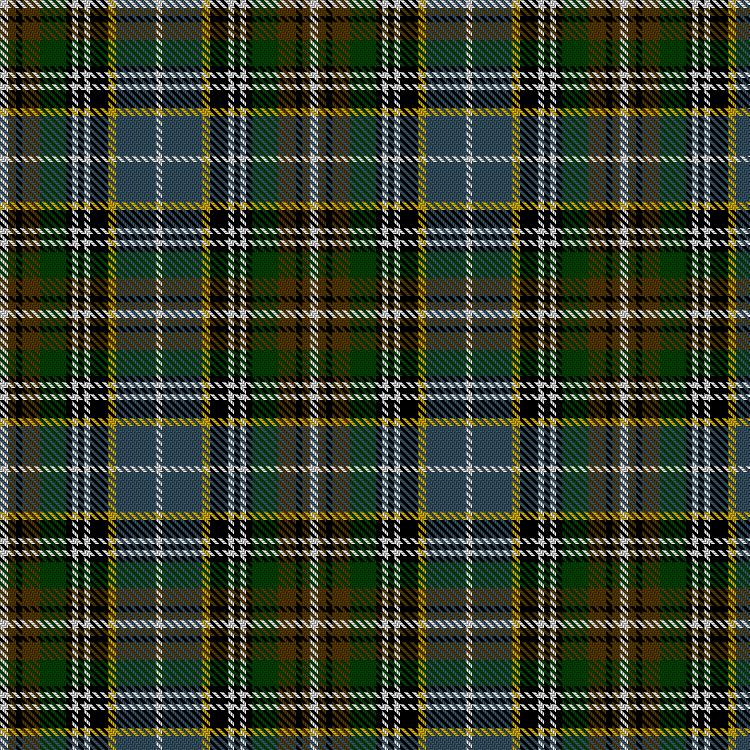 Tartan image: Clodagh. Click on this image to see a more detailed version.