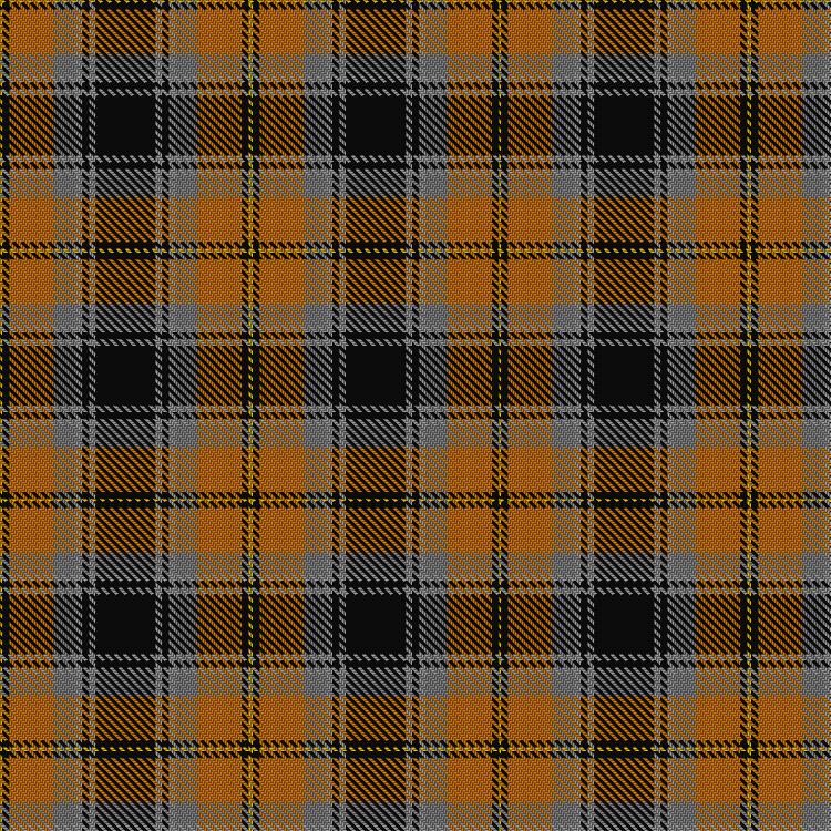 Tartan image: Clyde Valley HOG. Click on this image to see a more detailed version.