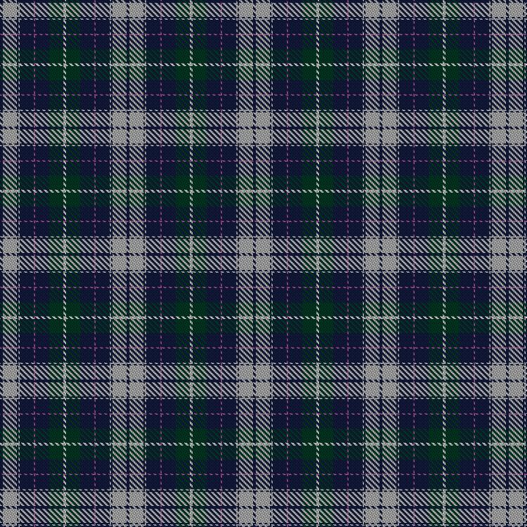 Tartan image: American Society of Travel Agents, The. Click on this image to see a more detailed version.