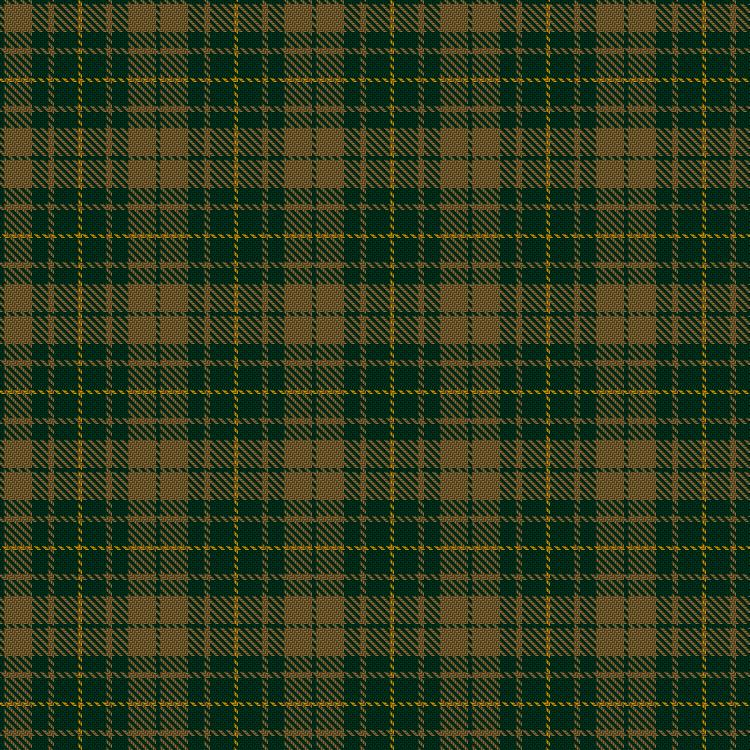 Tartan image: Confederate Cavalry. Click on this image to see a more detailed version.