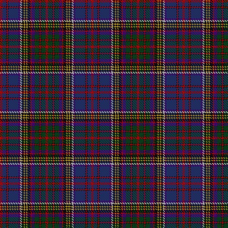 Tartan image: Anderson (W L Anderson, Stirling). Click on this image to see a more detailed version.